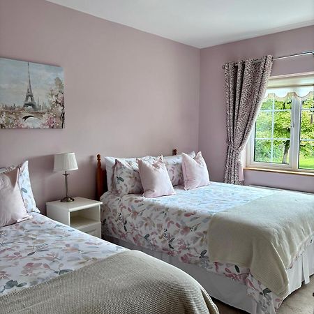 The Lodge Self Catering Castlerea Ngoại thất bức ảnh